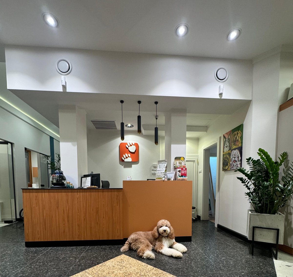 Bilja Vet Ambulanta - recepcija